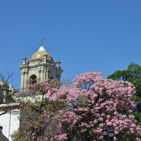 M1010 - The Best Place To Enjoy Oaxaca Exterior photo