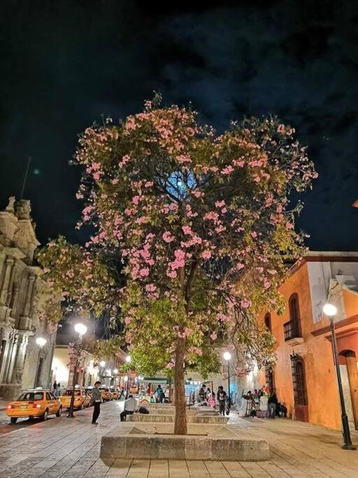 M1010 - The Best Place To Enjoy Oaxaca Exterior photo