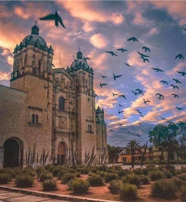 M1010 - The Best Place To Enjoy Oaxaca Exterior photo