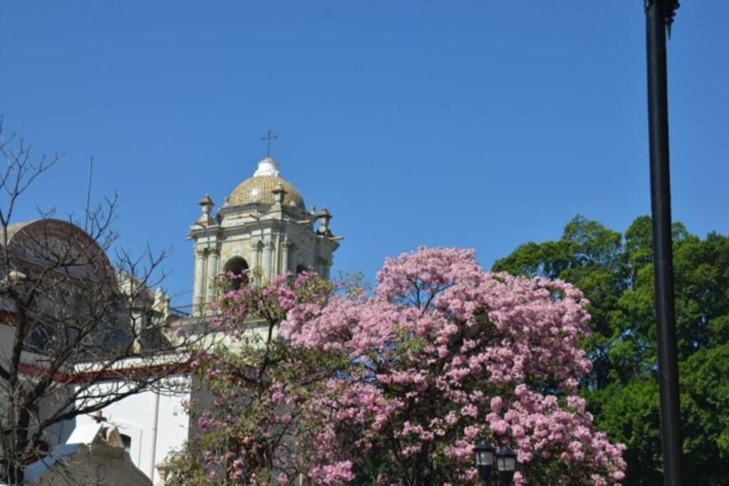 M1010 - The Best Place To Enjoy Oaxaca Exterior photo