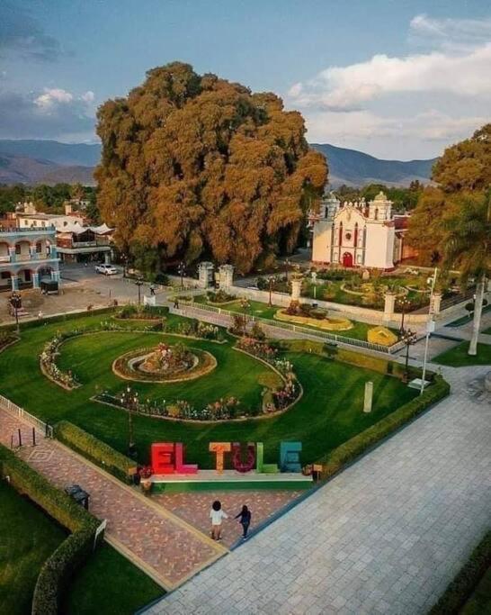 M1010 - The Best Place To Enjoy Oaxaca Exterior photo
